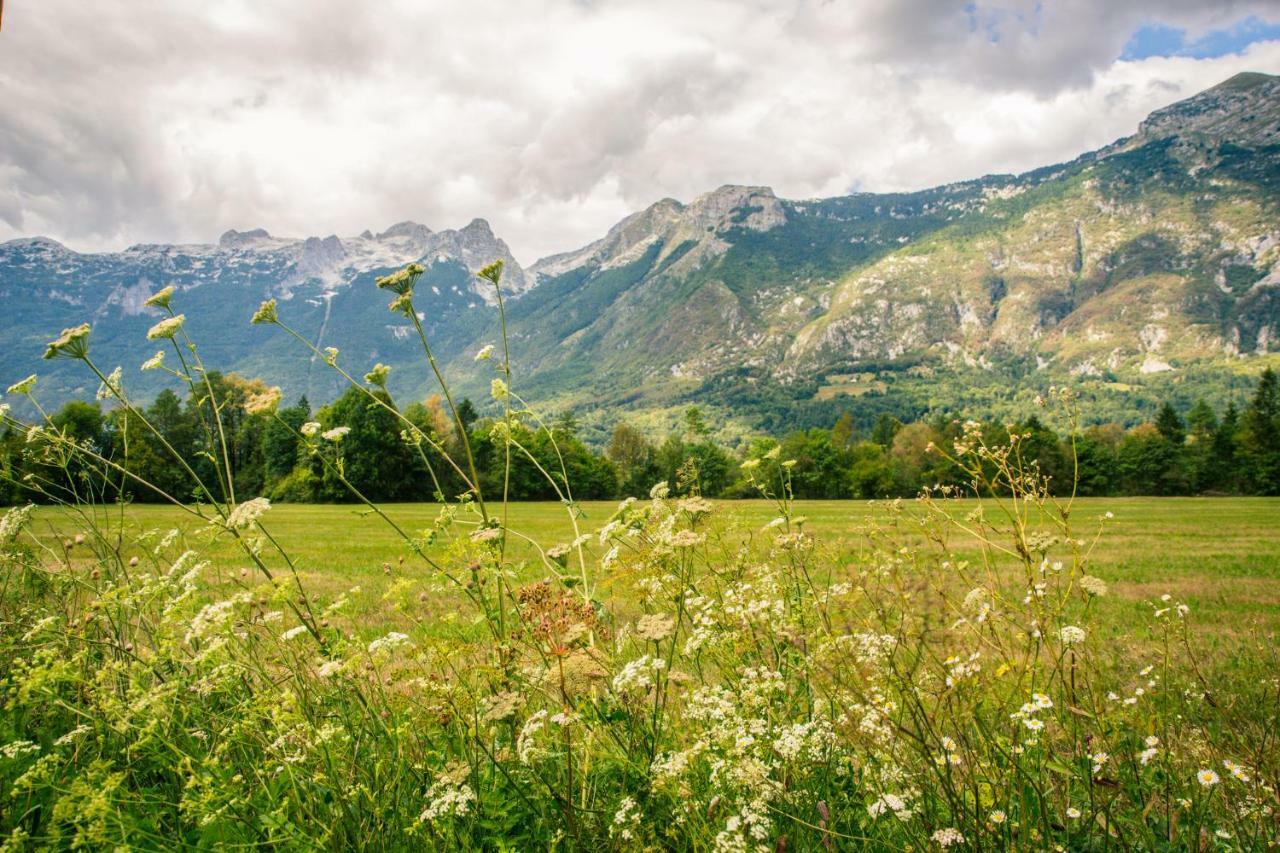 Apartments Wallas Bovec Εξωτερικό φωτογραφία